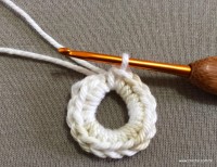 PAP flor japonesa - www.croche.com (3)