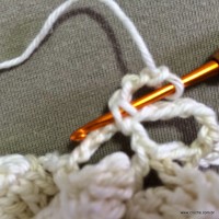 PAP flor japonesa - www.croche.com (33)