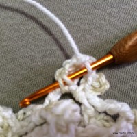 PAP flor japonesa - www.croche.com (37)