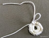 PAP flor japonesa - www.croche.com (4)