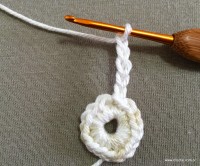 PAP flor japonesa - www.croche.com (5)