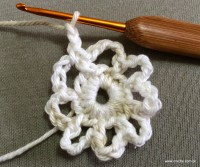 PAP flor japonesa - www.croche.com (8)