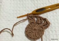 Passo-a-passo flor paixão por roma - www.croche.com (10)