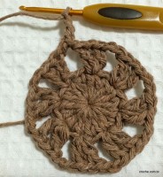 Passo-a-passo flor paixão por roma - www.croche.com (16)