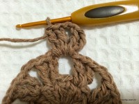 Passo-a-passo flor paixão por roma - www.croche.com (19)