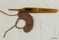 Passo-a-passo flor paixão por roma - www.croche.com (2)