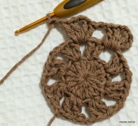 Passo-a-passo flor paixão por roma - www.croche.com (21)