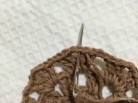 Passo-a-passo flor paixão por roma - www.croche.com (30)