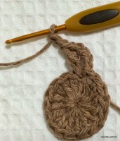 Passo-a-passo flor paixão por roma - www.croche.com (7)