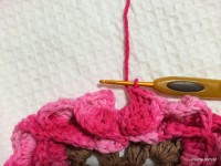 Passo_a_passo_flor_paix_o_por_roma_www.croche.com_129_