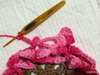 Passo_a_passo_flor_paix_o_por_roma_www.croche.com_141_