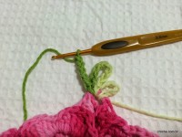 Passo_a_passo_flor_paix_o_por_roma_www.croche.com_157_