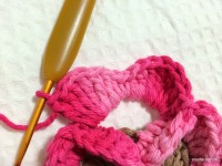 Passo_a_passo_flor_paix_o_por_roma_www.croche.com_97_