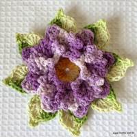 Rosa-2Bdos-2Bventos-2B-2Bwww.croche.com-2B-10-