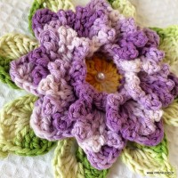 Rosa-2Bdos-2Bventos-2B-2Bwww.croche.com-2B-11-