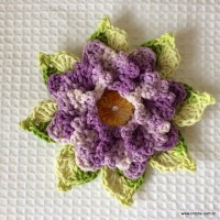 Rosa-2Bdos-2Bventos-2B-2Bwww.croche.com-2B-16-