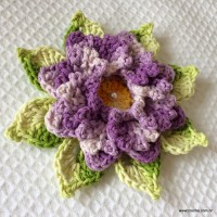 Rosa-2Bdos-2Bventos-2B-2Bwww.croche.com-2B-18-