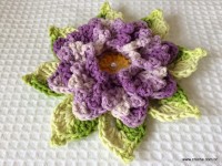 Rosa-2Bdos-2Bventos-2B-2Bwww.croche.com-2B-20-