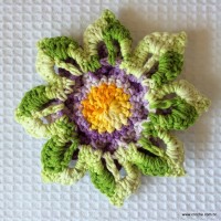 Rosa-2Bdos-2Bventos-2B-2Bwww.croche.com-2B-21-1 (1)