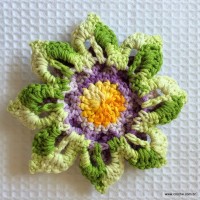 Rosa-2Bdos-2Bventos-2B-2Bwww.croche.com-2B-22-