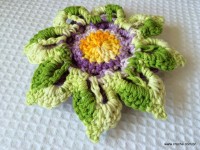 Rosa-2Bdos-2Bventos-2B-2Bwww.croche.com-2B-23-