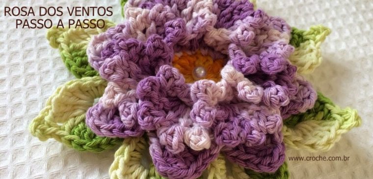 Flor - Rosa dos ventos