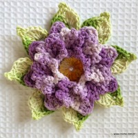 Rosa-2Bdos-2Bventos-2B-2Bwww.croche.com-2B-9-