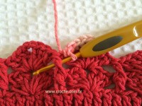 Tapete-2Boval-2Bbico-2Bduplo-2B-2Bwww.croche.com-2B-12-