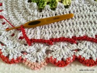 Tapete-2Boval-2Bpasso-2Ba-2Bpasso-2Bparte-2B2-2B-2Bwww.croche.com-2B-9-