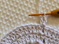 Tapete-2Bredondo-2Bbico-2Bduplo-2Bpasso-2Ba-2Bpasso-2B-2Bwww.croche.com-2B-100-