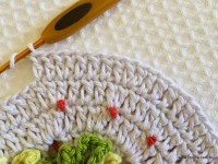 Tapete-2Bredondo-2Bbico-2Bduplo-2Bpasso-2Ba-2Bpasso-2B-2Bwww.croche.com-2B-112-