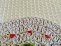 Tapete-2Bredondo-2Bbico-2Bduplo-2Bpasso-2Ba-2Bpasso-2B-2Bwww.croche.com-2B-115-