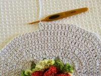 Tapete-2Bredondo-2Bbico-2Bduplo-2Bpasso-2Ba-2Bpasso-2B-2Bwww.croche.com-2B-118-