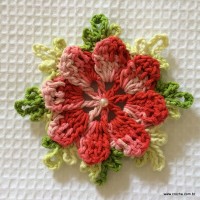 Tapete-2Bredondo-2Bbico-2Bduplo-2Bpasso-2Ba-2Bpasso-2B-2Bwww.croche.com-2B-12-