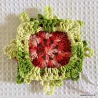 Tapete-2Bredondo-2Bbico-2Bduplo-2Bpasso-2Ba-2Bpasso-2B-2Bwww.croche.com-2B-13-