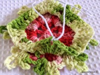 Tapete-2Bredondo-2Bbico-2Bduplo-2Bpasso-2Ba-2Bpasso-2B-2Bwww.croche.com-2B-14-