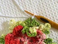 Tapete-2Bredondo-2Bbico-2Bduplo-2Bpasso-2Ba-2Bpasso-2B-2Bwww.croche.com-2B-15-