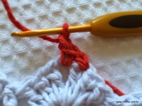 Tapete-2Bredondo-2Bbico-2Bduplo-2Bpasso-2Ba-2Bpasso-2B-2Bwww.croche.com-2B-150-