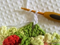 Tapete-2Bredondo-2Bbico-2Bduplo-2Bpasso-2Ba-2Bpasso-2B-2Bwww.croche.com-2B-16-