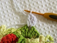 Tapete-2Bredondo-2Bbico-2Bduplo-2Bpasso-2Ba-2Bpasso-2B-2Bwww.croche.com-2B-17-