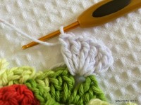 Tapete-2Bredondo-2Bbico-2Bduplo-2Bpasso-2Ba-2Bpasso-2B-2Bwww.croche.com-2B-19-