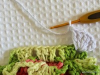 Tapete-2Bredondo-2Bbico-2Bduplo-2Bpasso-2Ba-2Bpasso-2B-2Bwww.croche.com-2B-20-