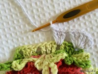 Tapete-2Bredondo-2Bbico-2Bduplo-2Bpasso-2Ba-2Bpasso-2B-2Bwww.croche.com-2B-21-