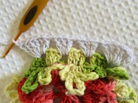 Tapete-2Bredondo-2Bbico-2Bduplo-2Bpasso-2Ba-2Bpasso-2B-2Bwww.croche.com-2B-22-