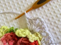 Tapete-2Bredondo-2Bbico-2Bduplo-2Bpasso-2Ba-2Bpasso-2B-2Bwww.croche.com-2B-25-