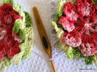 Tapete-2Bredondo-2Bbico-2Bduplo-2Bpasso-2Ba-2Bpasso-2B-2Bwww.croche.com-2B-28-