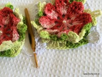 Tapete-2Bredondo-2Bbico-2Bduplo-2Bpasso-2Ba-2Bpasso-2B-2Bwww.croche.com-2B-29-