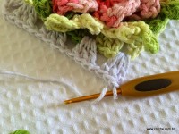 Tapete-2Bredondo-2Bbico-2Bduplo-2Bpasso-2Ba-2Bpasso-2B-2Bwww.croche.com-2B-30-