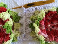 Tapete-2Bredondo-2Bbico-2Bduplo-2Bpasso-2Ba-2Bpasso-2B-2Bwww.croche.com-2B-34-