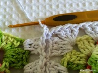 Tapete-2Bredondo-2Bbico-2Bduplo-2Bpasso-2Ba-2Bpasso-2B-2Bwww.croche.com-2B-35-